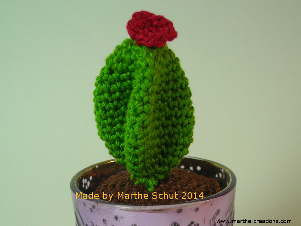 gehaakte cactus volgens een patroon van Airali design; Crocheted cactus from a pattern of Airali design